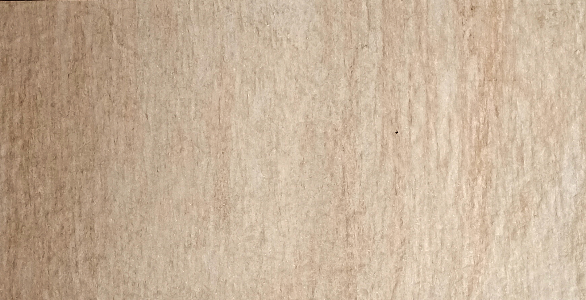 Lidia Beige